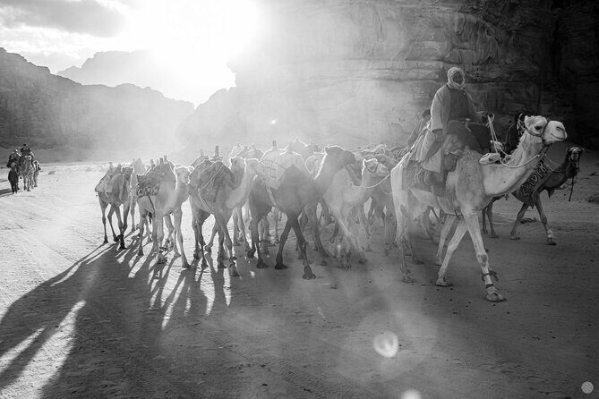 02 Days Petra , Wadi Rum and Dead Sea from Amman - Wadi Rum Village: a short stop that helps you reset