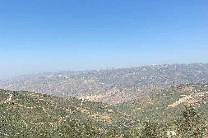 1 Day Tour to Amman Jerash and Ajloun castle - Jerash Ruins: Roman Architecture on a Scale That Actually Shows
