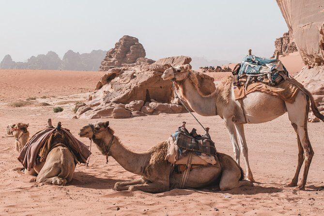 2 Days Tour | Petra, Wadi Rum & Dead Sea | Accommodation included - Day 2: Dead Sea Float Plus Lunch on the Way Back to Amman