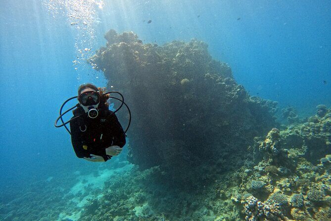 2-Hour Private Scuba Experience in Aqaba - Key highlights you’ll feel right away