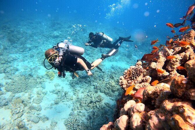 2-Hour Private Scuba Experience in Aqaba - Who Should Choose This Private Scuba Session?