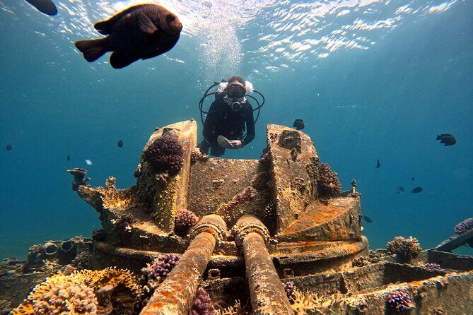 2-Hour Private Scuba Experience in Aqaba - Should You Book the Aqaba 2-Hour Private Scuba Session?