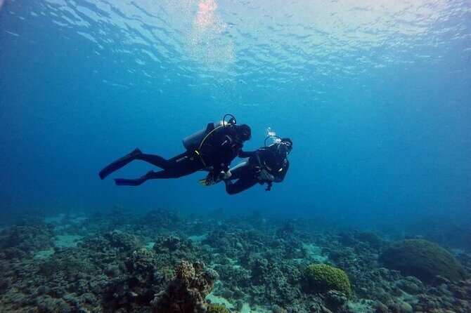 3-Day Open Water Scuba Diving Course in Aqaba - The Teaching Style: Clear Explanations, Patient Coaching, and Real Confidence
