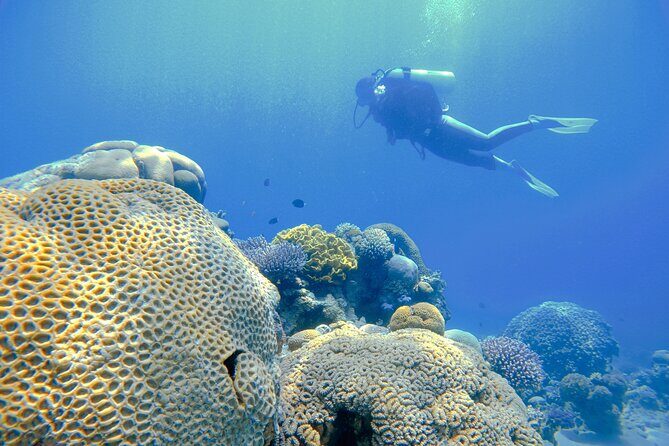 3-Day Open Water Scuba Diving Course in Aqaba - Value and Price: Is $500 Fair for This Training Mix?