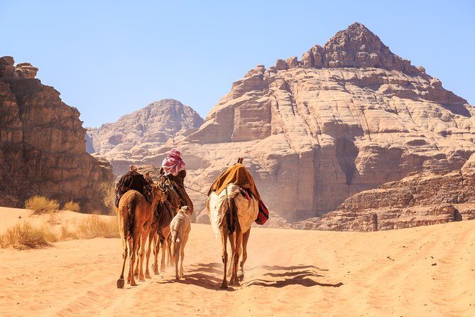 4-Night Private Jordan Mysteries:Petra, Wadi Rum, Aqaba, Dead Sea - Hotels can change the whole vibe, so choose your standard carefully