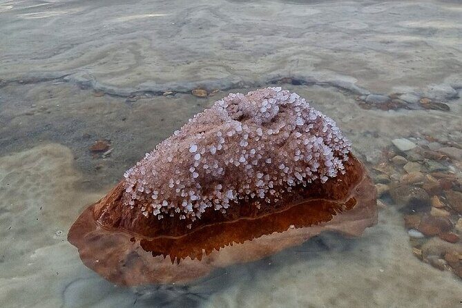 7-Day Private Tour in Jordan: The Treasures Map - Day 5 Little Petra to Wadi Rum: Bedouin tea, then 4x4 desert sunset