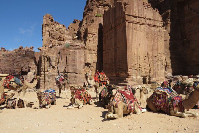 Amman to Petra round trip - The Qasr Al Bint turnaround: planning your return without panic