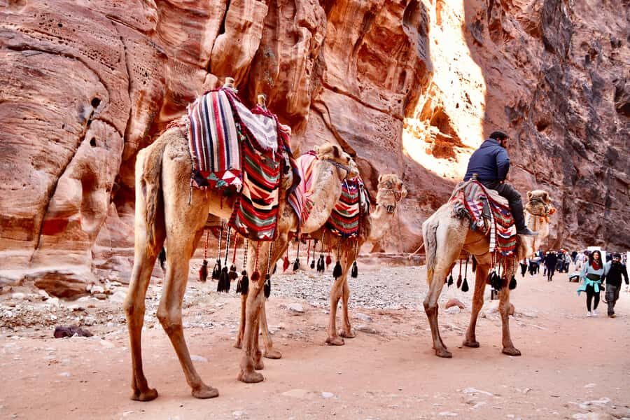 Amman to Petra Wadi Rum Dead Sea 2 or 3 Days Private Tour - What to pack (and what will save you time)