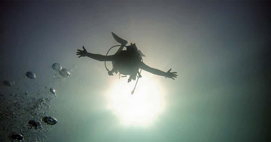 Aqaba Dive Adventure: Explore The Red Sea On A Tour - Quick hits on Aqaba Seahorse’s Red Sea tour