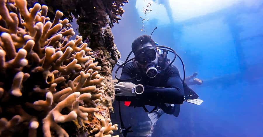 Aqaba Dive Adventure: Explore The Red Sea On A Tour - South Beach in Aqaba: why this is a practical starting point