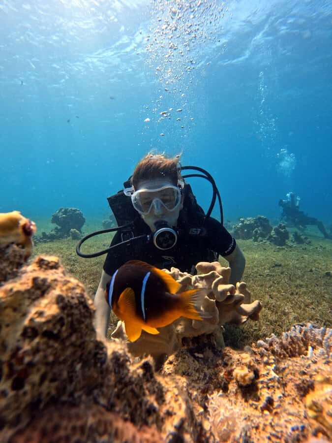 Aqaba: Private Red Sea Diving for Beginner or Experienced - Training that makes first-timers feel safe (and pros feel respected)
