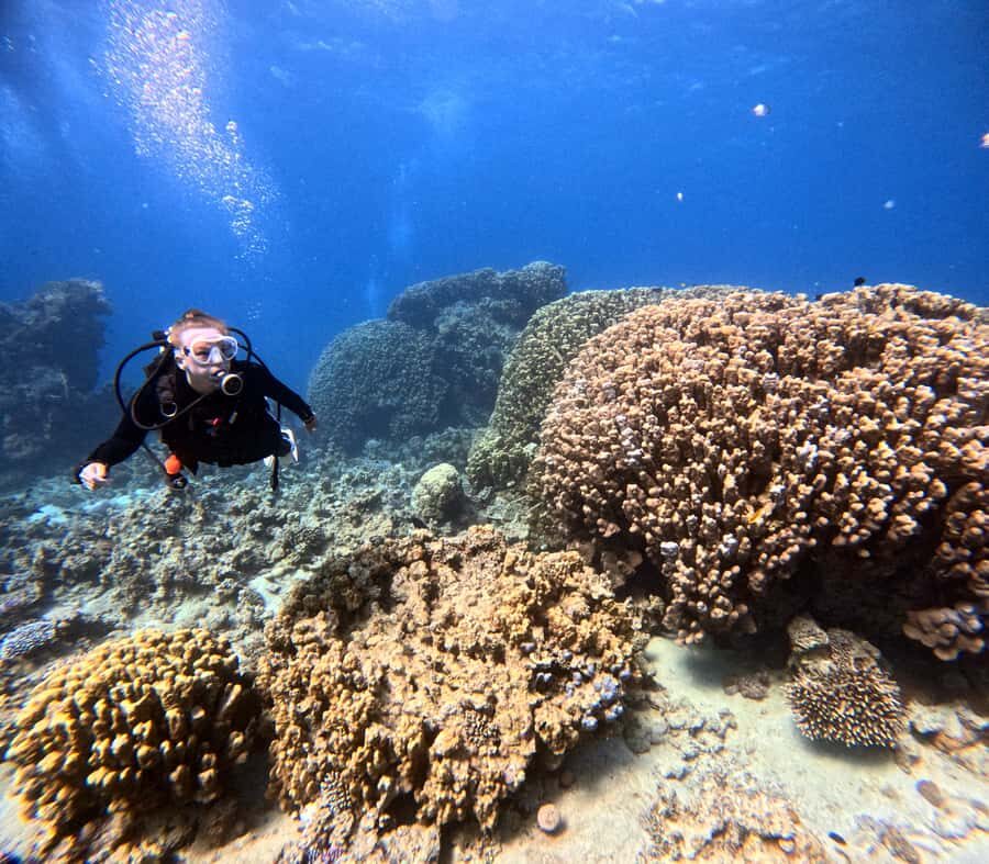 Aqaba: Private Red Sea Diving for Beginner or Experienced - Two underwater locations: reefs, fish, and the big attractions