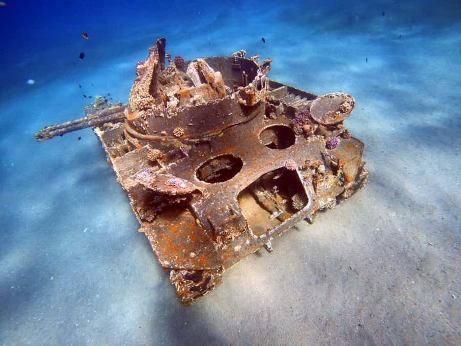 Aqaba: Private Red Sea Diving for Beginner or Experienced - The 2-hour schedule: prep-heavy, with a short underwater window