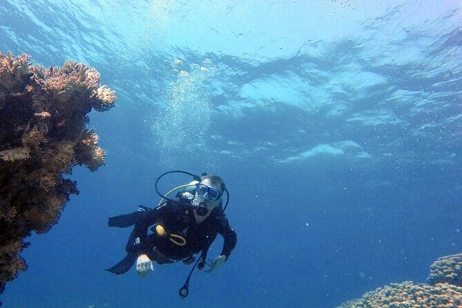Aqaba Private Scuba Diving Activity with Pick Up - The 3-hour flow: what you’ll do and how to plan your expectations