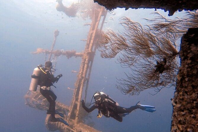 Aqaba Private Scuba Diving Activity with Pick Up - Cedar Pride wreck: the Lebanese freighter that fits many skill levels