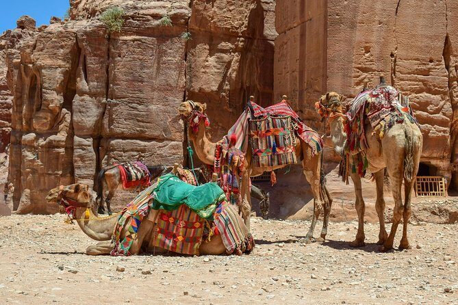 Aqaba Shore Excursion: Private Petra Sightseeing Tour with Lunch - Private shore excursion means you set the tempo