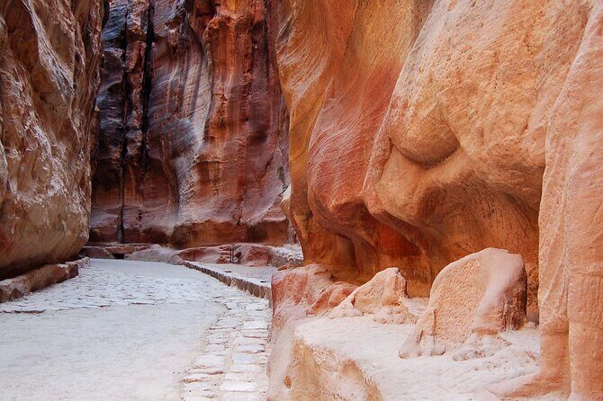 Aqaba Shore Excursion: Private Petra Sightseeing Tour with Lunch - On-time transport and photo stops along the way