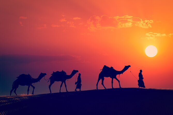 Best of Wadi Rum | Full day Jeep tour + Sleep under the stars | Pack all-in - Red Sand Dunes: when you want motion, not just viewing