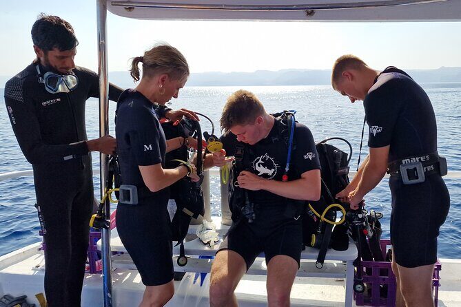 Boat Dive 2 Guided Dives with Lunch Included wreck dive&reef dive - Key highlights worth knowing