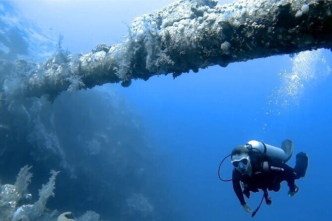 Boat Dive 2 Guided Dives with Lunch Included wreck dive&reef dive - How the 10:00-to-6:00 schedule works on Aqaba’s water