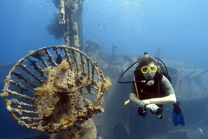 Boat Dive 2 Guided Dives with Lunch Included wreck dive&reef dive - Should you book this Aqaba boat scuba day?
