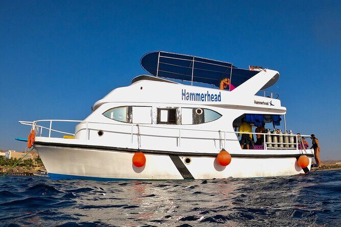 Boat Dive and Snorkeling Experience in Aqaba - From hotel pickup to open water: how the day starts