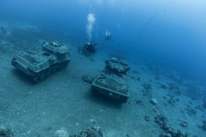 Boat Dive and Snorkeling Experience in Aqaba - Instructors and safety: why Mahmoud’s style gets mentioned