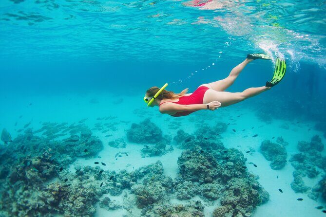 Boat Dive and Snorkeling Experience in Aqaba - Sun protection that respects the water you came for