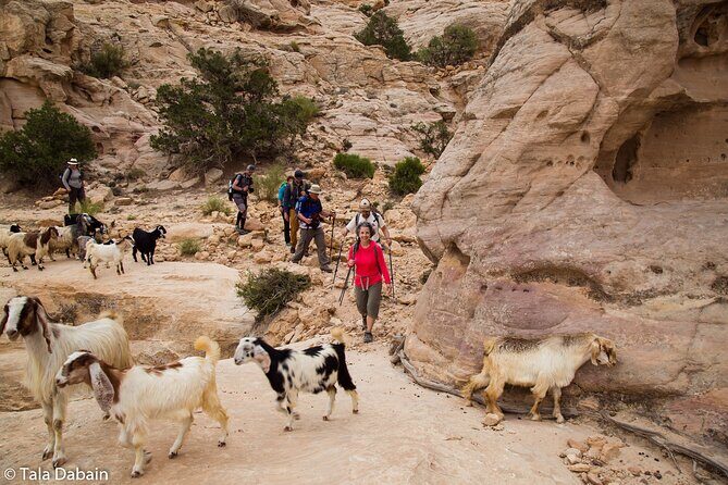 Dana to Petra Trek + Wadi Rum & the Dead Sea - 9 Days - From Dana to Petra, then Wadi Rum to the Dead Sea: what the trip really feels like