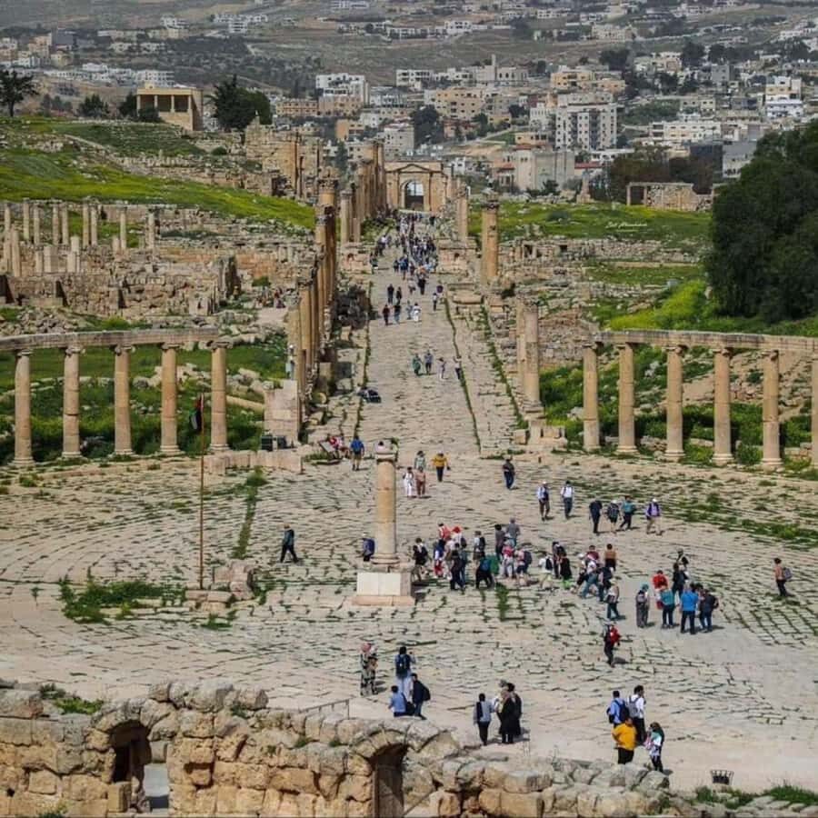 Day Tour Jerash - Ajloun and Um Qais From Amman - Key things to know before you go