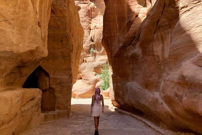 Day Tour to Petra from Dead Sea with lunch - Should You Book This Tour?