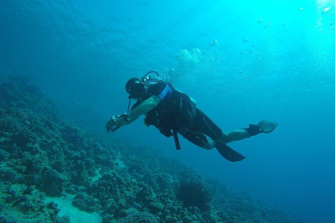 DSD "Discover Scuba Diving" (Min Age 10 Years) - Weather, minimum numbers, and how to think about rescheduling