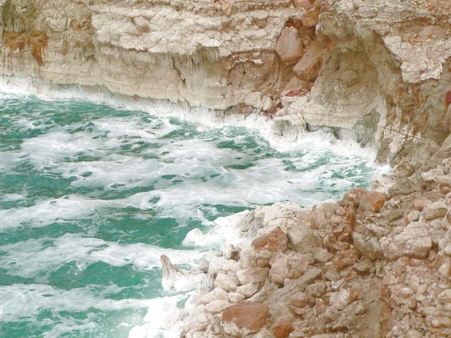 From Amman: 5-Hour Dead Sea Experience with Lunch & Return - 5-Star Resort Time: Pools, Beach Access, and Lunch That Breaks Up the Day
