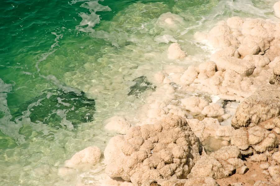 From Amman: 5-Hour Dead Sea Experience with Lunch & Return - Price and Value: Is $119 Worth It for This 6.5-Hour Escape?