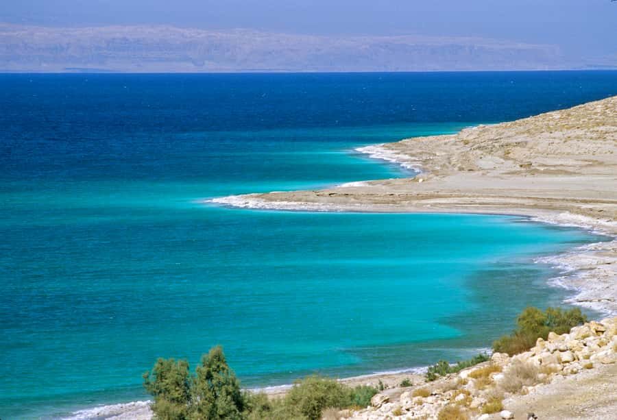 From Amman: 5-Hour Dead Sea Experience with Lunch & Return - Packing and Comfort: What to Bring for the Saltiest Water on Earth