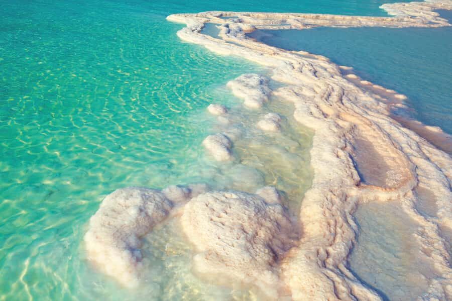 From Amman: 5-Hour Dead Sea Experience with Lunch & Return - Who Should Book This Dead Sea Day Trip From Amman