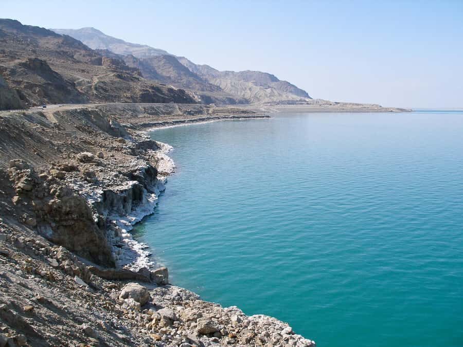 From Amman: Dead Sea 5-Star Resort Day Trip with Lunch - Arriving at the Dead Sea: the resort block and what to do first