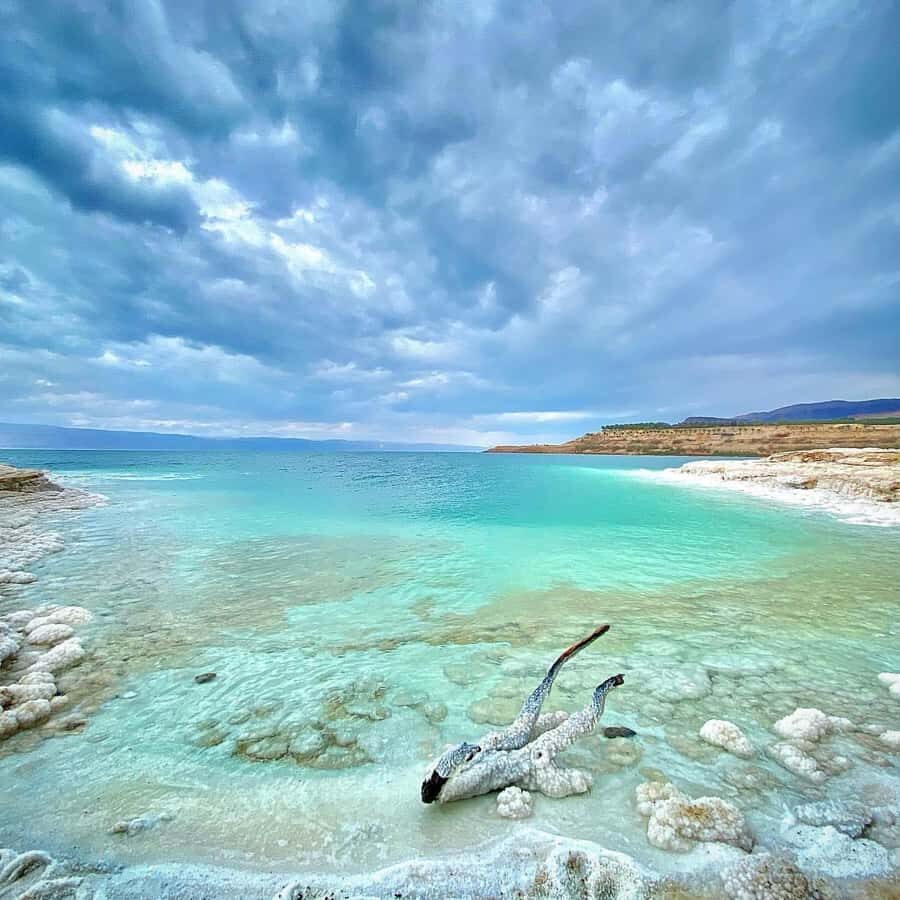 From Amman: Half-Day Tour to Dead Sea - Your 4-Hour Dead Sea Block: Swimming, Lunch, and Mud Time