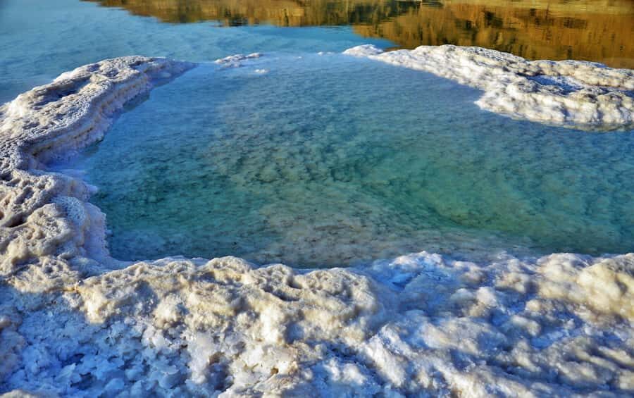 From Amman: Half-Day Tour to Dead Sea - Price and Value: What You Get for $47 per Person