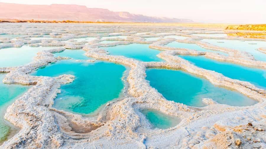 From Amman: Half-Day Tour to Dead Sea - Punctual, Helpful Drivers: The Difference You Actually Feel