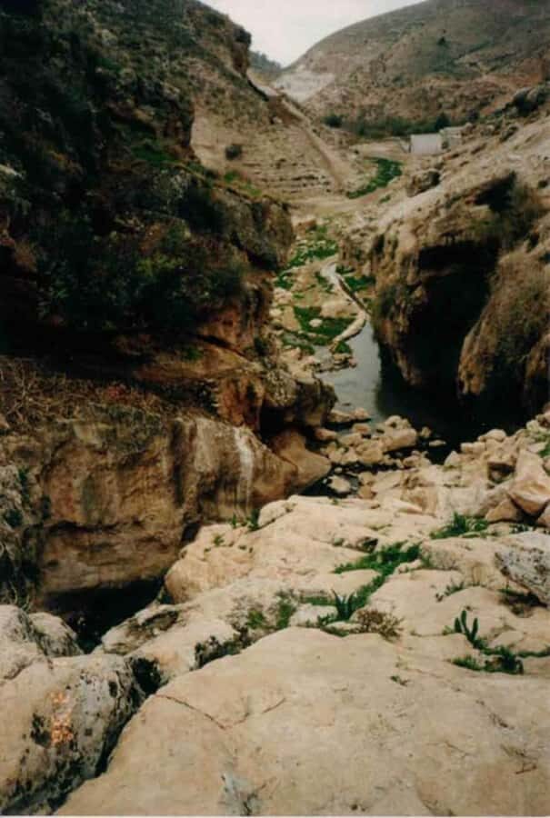 From Amman: Jerash, Umm Qais, and Jesus' Cave Private Trip - Price and value: is $87 a fair deal for this private day?