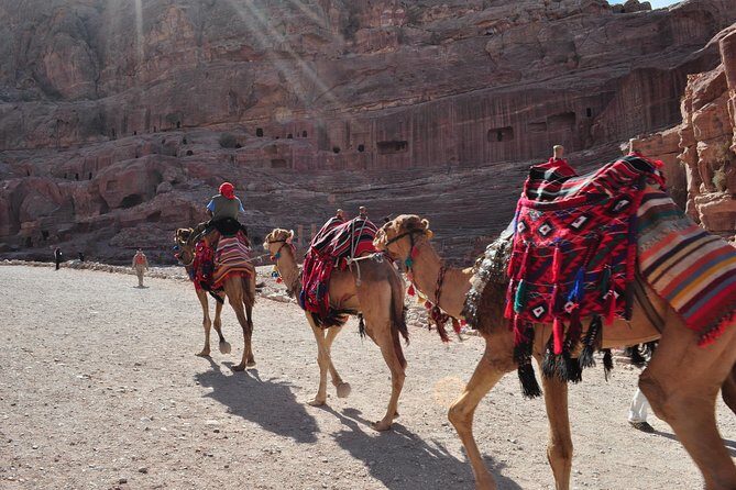 From Amman: one day tour to Petra - The Horse Ride to the Siq Entrance: Saving Steps for the Best Part
