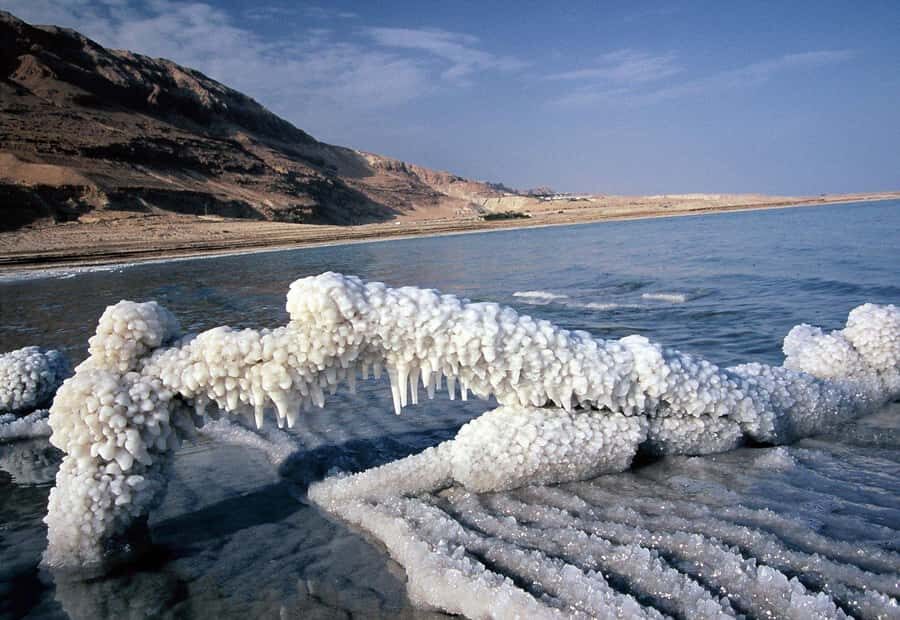 From Amman: Petra and Dead Sea Private Day Tour - Dead Sea floating in 3 hours: what to do once you’re there
