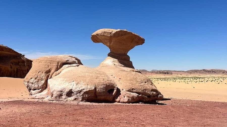 From Amman: Petra & Wadi Rum Private or group Day Tour - What to bring (and what to think about before you go)