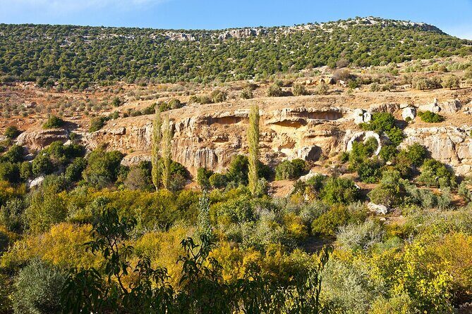 From Amman :Private day tour to Jerash and Ajloun - Key things to know before you go