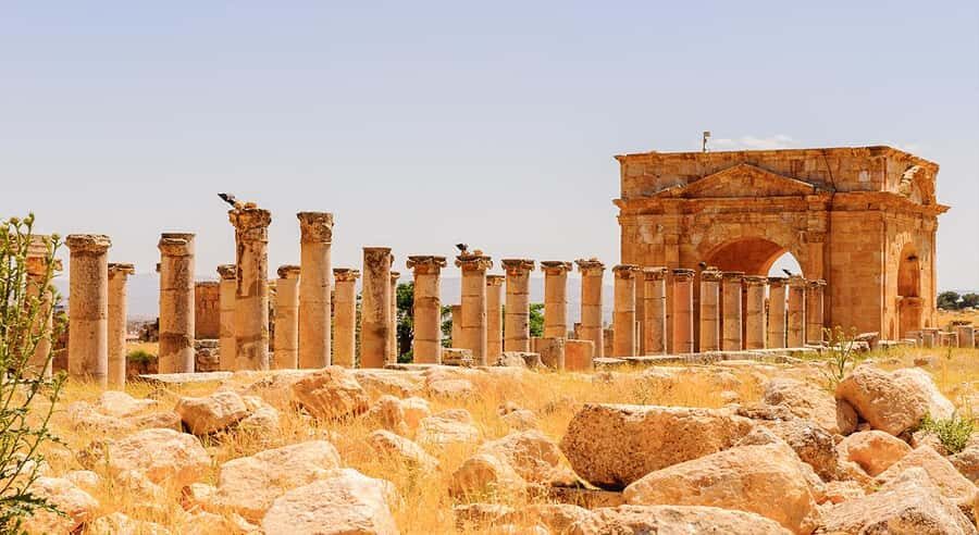 From Amman: Private Half-Day Tour to Jerash - Who This Private Jerash Tour Suits Best?