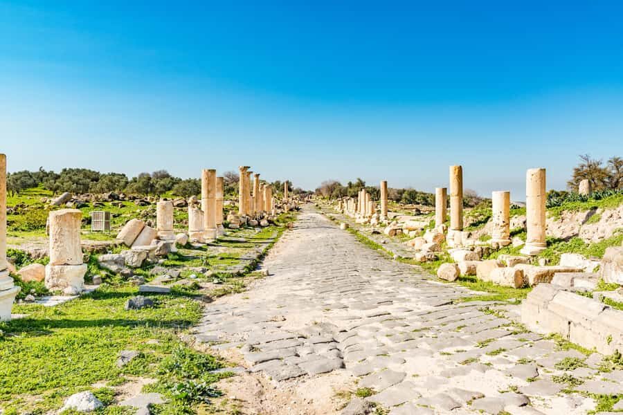 From Amman: Private Jerash, Ajloun Castle, and Umm Qais Tour - Private North Jordan in One Day: Amman Pickup and Driver Comfort