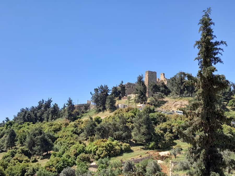 From Amman: Private Jerash, Ajloun Castle, and Umm Qais Tour - Who This Tour Fits Best (and Who Should Skip It)