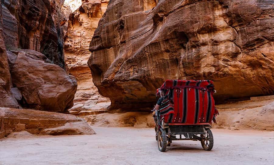 From Amman: Private Petra Day Trip with Guide - The 10-Hour Flow: Early Start, Long Drive, Real Time on Site