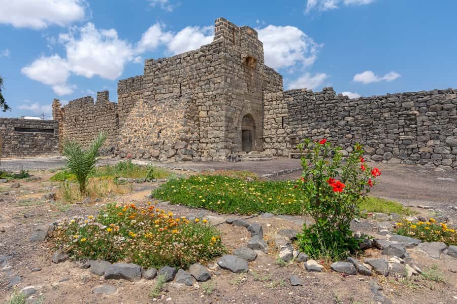 From Amman: Umayyad Desert Castles Tour with Transfer - Price and value: is $82 worth it for an Amman day tour?